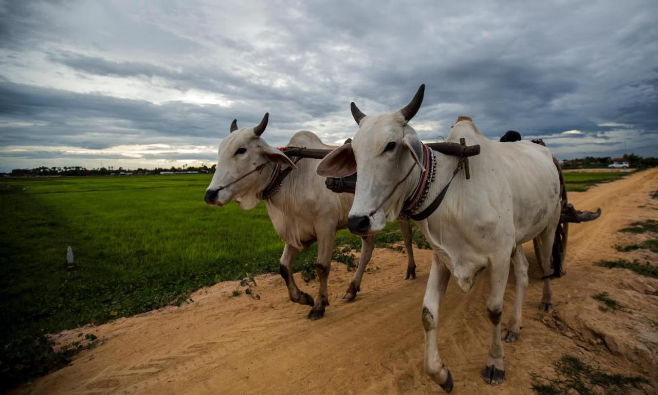 Madam Sokha Homesteading Sziemreap Kültér fotó